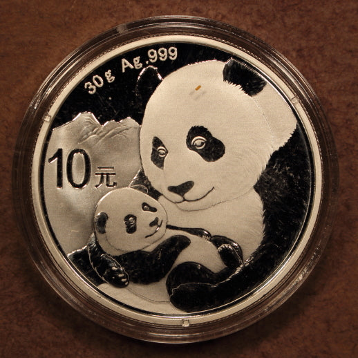 China 10 Yuan 2019 Panda - 30g .999 Silver - GemBU