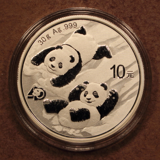 China 10 Yuan 2022 Panda - 30g .999 Silver - GemBU