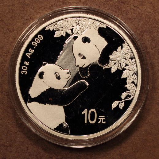 China 10 Yuan 2023 Panda - 30g .999 Silver - GemBU